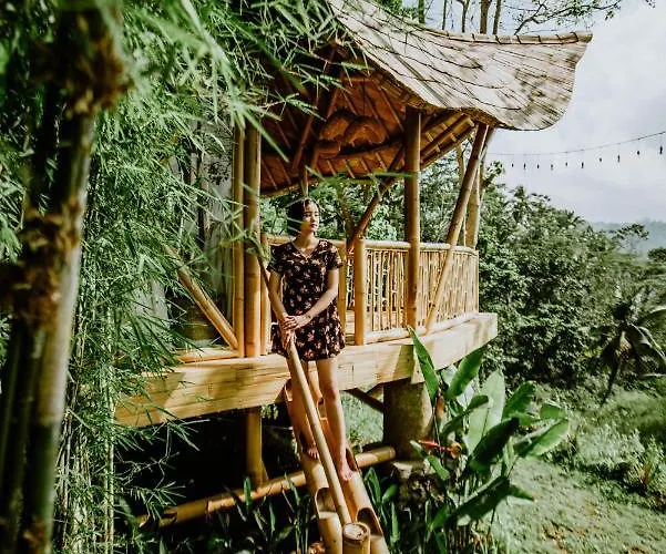 Bird Hills Bamboo House Lodge