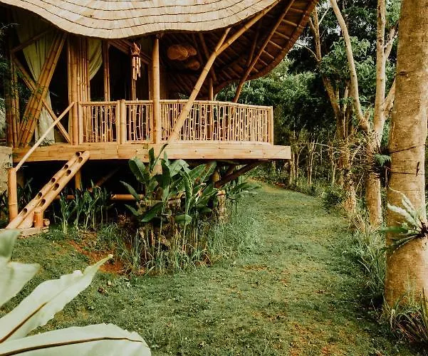 Bird Hills Bamboo House *