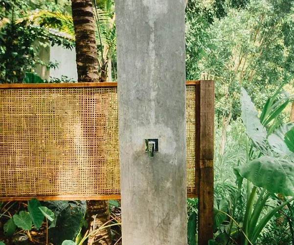Lodge Bird Hills Bamboo House Karangasem