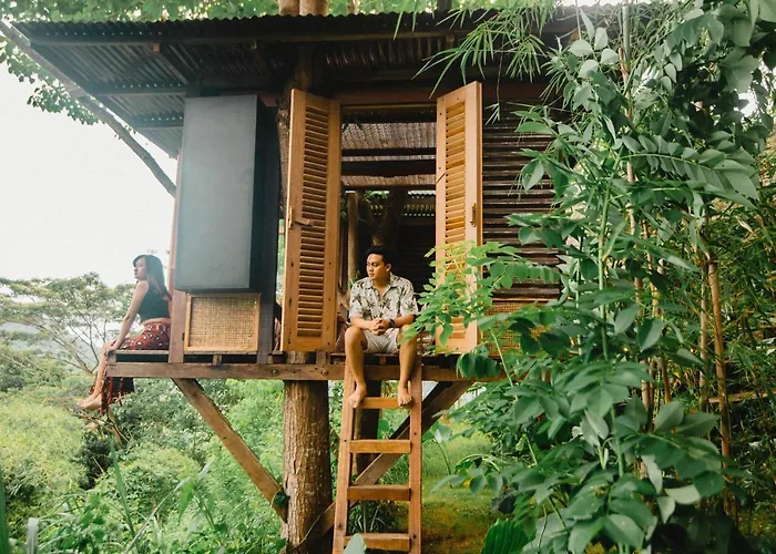Bird Hills Bamboo House * Karangasem