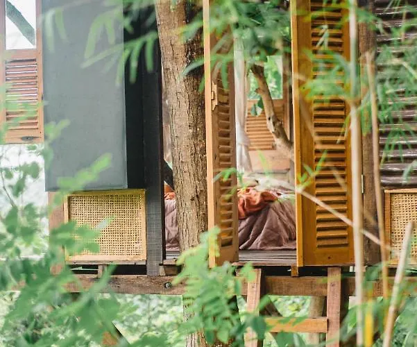 Bird Hills Bamboo House Lodge Karangasem