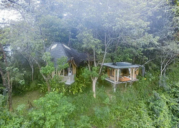 Bird Hills Bamboo House *