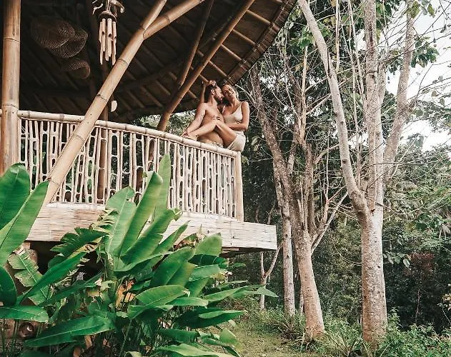 Bird Hills Bamboo House