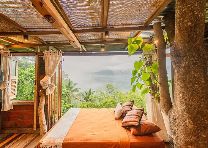 Lodge Bird Hills Bamboo House