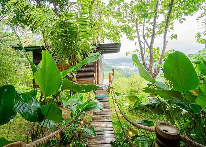 Bird Hills Bamboo House *