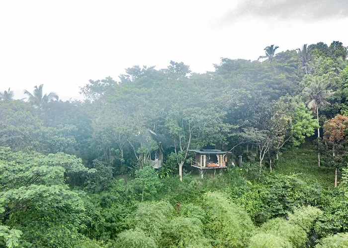 Bird Hills Bamboo House