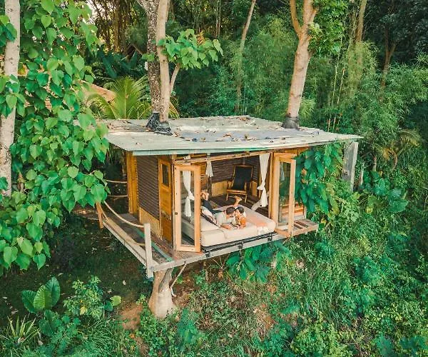 Bird Hills Bamboo House Lodge *