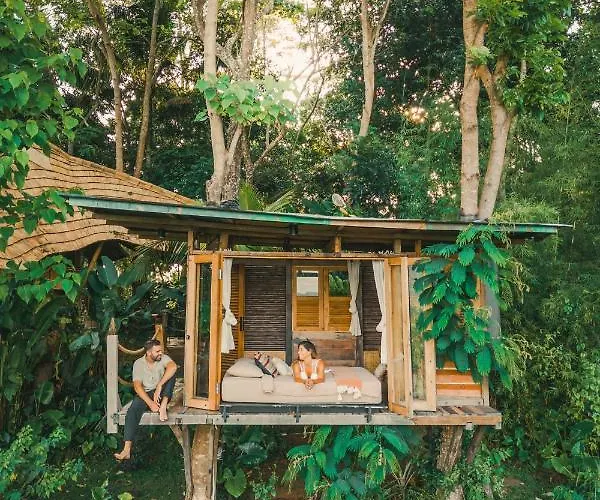 Bird Hills Bamboo House Karangasem