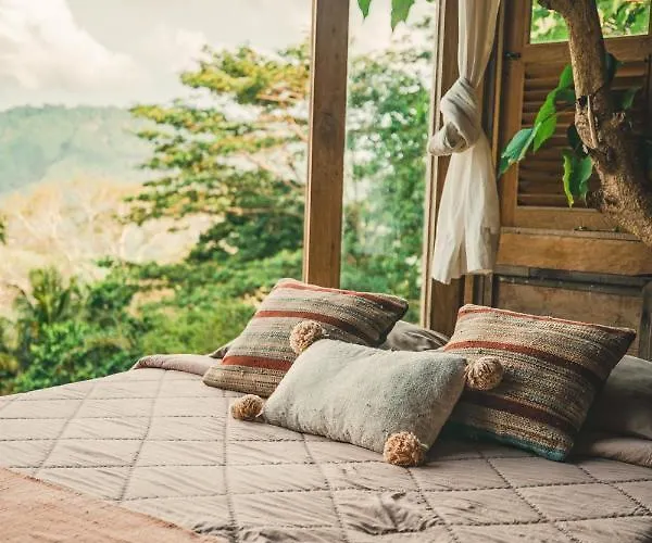 Bird Hills Bamboo House Lodge *