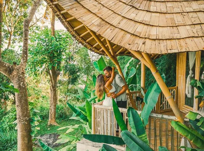 Bird Hills Bamboo House *