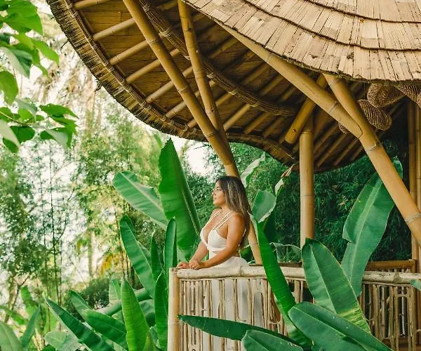 Bird Hills Bamboo House * Karangasem