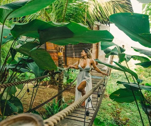 Bird Hills Bamboo House Lodge *
